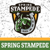 Stampede_logo